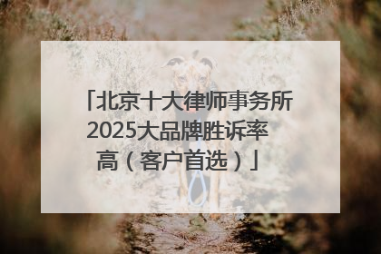 北京十大律师事务所2025大品牌胜诉率高（客户首选）