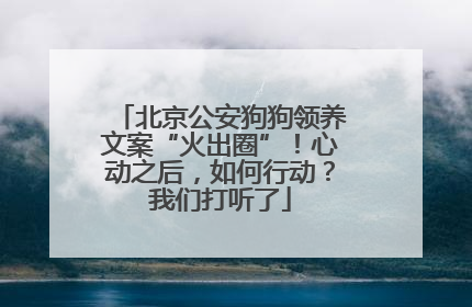 北京公安狗狗领养文案“火出圈”！心动之后，如何行动？我们打听了