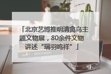 北京艺博推明清禽鸟主题文物展，80余件文物讲述“瑞羽鸣祥”