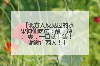 北方人没见过的水果神仙吃法：酸、辣、爽，一口就上头！谢谢广西人！