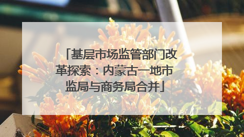 基层市场监管部门改革探索：内蒙古一地市监局与商务局合并