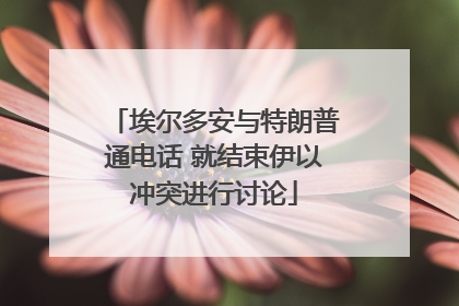 埃尔多安与特朗普通电话 就结束伊以冲突进行讨论