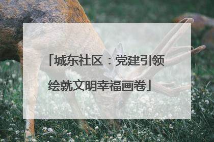 城东社区：党建引领绘就文明幸福画卷