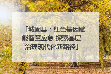 城固县：红色基因赋能智慧应急 探索基层治理现代化新路径