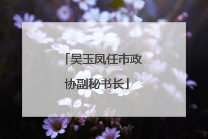 吴玉凤任市政协副秘书长