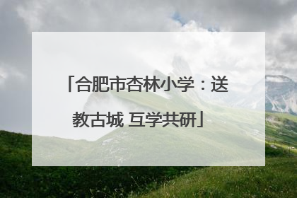合肥市杏林小学：送教古城 互学共研
