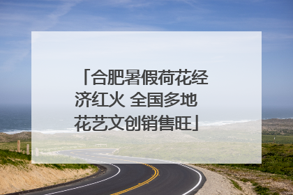 合肥暑假荷花经济红火 全国多地花艺文创销售旺