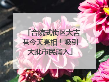 合院式街区大吉巷今天亮相！吸引大批市民涌入
