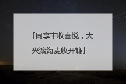 同享丰收喜悦，大兴瀛海麦收开镰