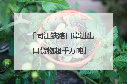 同江铁路口岸进出口货物超千万吨