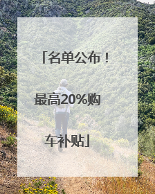 名单公布！最高20%购车补贴