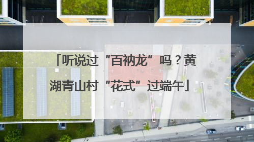 听说过“百衲龙”吗？黄湖青山村“花式”过端午