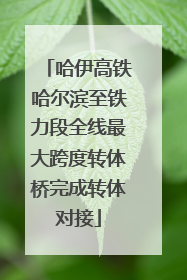 哈伊高铁哈尔滨至铁力段全线最大跨度转体桥完成转体对接