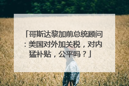 哥斯达黎加前总统顾问：美国对外加关税，对内猛补贴，公平吗？