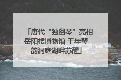 唐代“独幽琴”亮相岳阳楼博物馆 千年琴韵洞庭湖畔苏醒