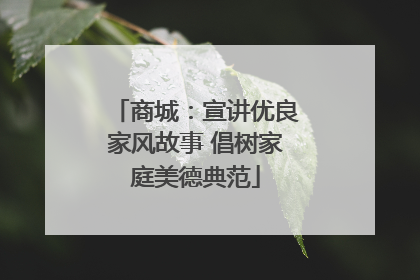 商城：宣讲优良家风故事 倡树家庭美德典范