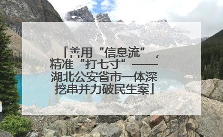 善用“信息流”，精准“打七寸”——湖北公安省市一体深挖串并力破民生案