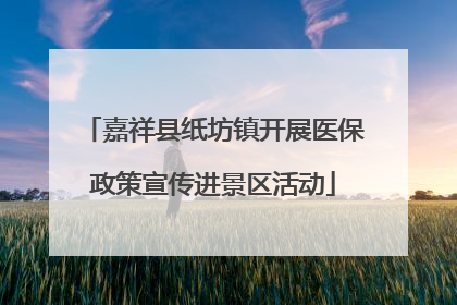 嘉祥县纸坊镇开展医保政策宣传进景区活动