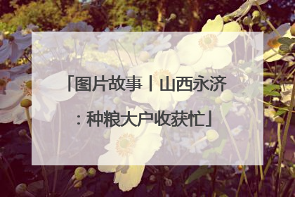 图片故事丨山西永济：种粮大户收获忙