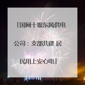 国网十堰东风供电公司：支部共建 居民用上安心电