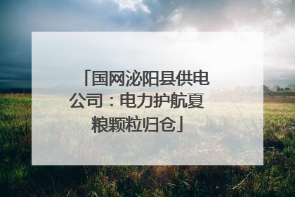 国网泌阳县供电公司：电力护航夏粮颗粒归仓