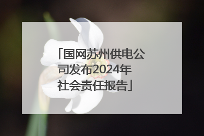 国网苏州供电公司发布2024年社会责任报告