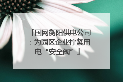 国网衡阳供电公司：为园区企业拧紧用电“安全阀”