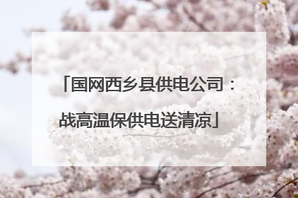 国网西乡县供电公司：战高温保供电送清凉