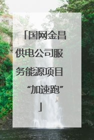 国网金昌供电公司服务能源项目“加速跑”