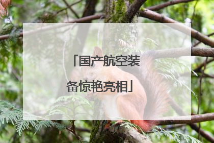 国产航空装备惊艳亮相