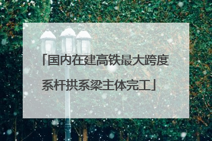 国内在建高铁最大跨度系杆拱系梁主体完工