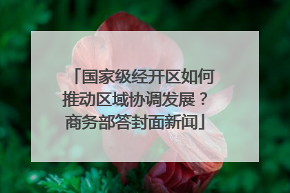 国家级经开区如何推动区域协调发展？商务部答封面新闻