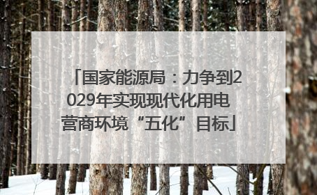 国家能源局：力争到2029年实现现代化用电营商环境“五化”目标
