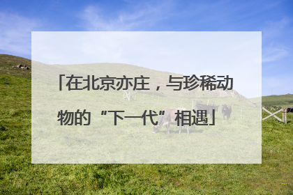 在北京亦庄，与珍稀动物的“下一代”相遇