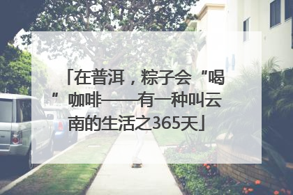 在普洱，粽子会“喝”咖啡——有一种叫云南的生活之365天