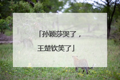 孙颖莎哭了，王楚钦笑了