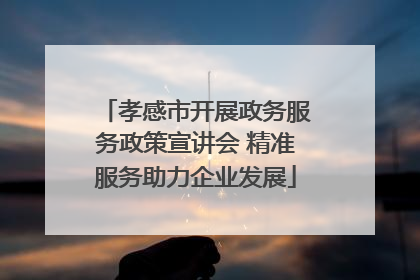 孝感市开展政务服务政策宣讲会 精准服务助力企业发展