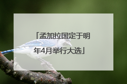 孟加拉国定于明年4月举行大选