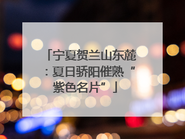 宁夏贺兰山东麓：夏日骄阳催熟“紫色名片”