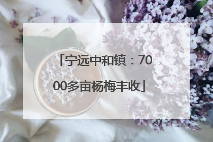 宁远中和镇：7000多亩杨梅丰收