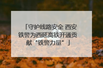 守护线路安全 西安铁警为西延高铁开通贡献“铁警力量”