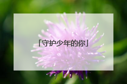 守护少年的你