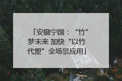 安徽宁国：“竹”梦未来 加快“以竹代塑”全场景应用