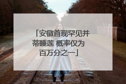 安徽首现罕见并蒂睡莲 概率仅为百万分之一