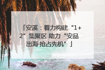 安溪：着力构建“1+2”集聚区 助力“安品出海·抢占先机”