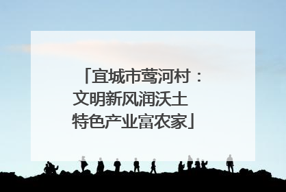 宜城市莺河村：文明新风润沃土 特色产业富农家