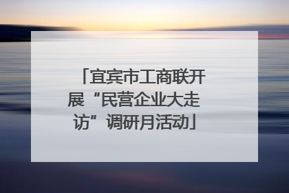 宜宾市工商联开展“民营企业大走访”调研月活动