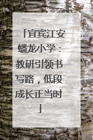 宜宾江安蟠龙小学：教研引领书写路，低段成长正当时
