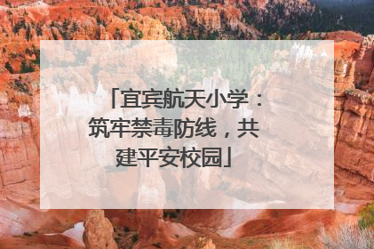 宜宾航天小学：筑牢禁毒防线，共建平安校园