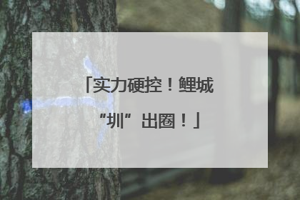 实力硬控！鲤城“圳”出圈！
